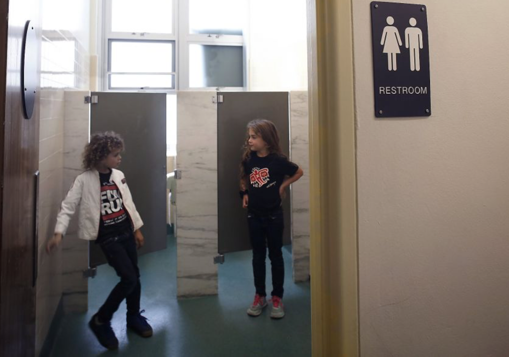 The Future of Gender in Schools: The Possibility of a Genderless ...